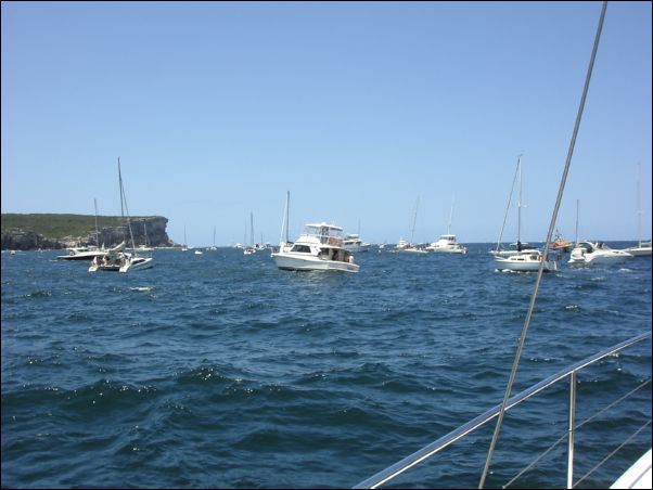 Sydney Heads