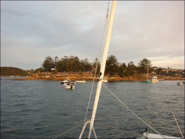 Shark Island